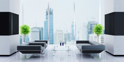 professional cleaning services